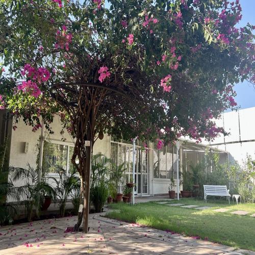 The Studio Cottage Rizwan Bagh The Studio Cottage Rizwan Bagh